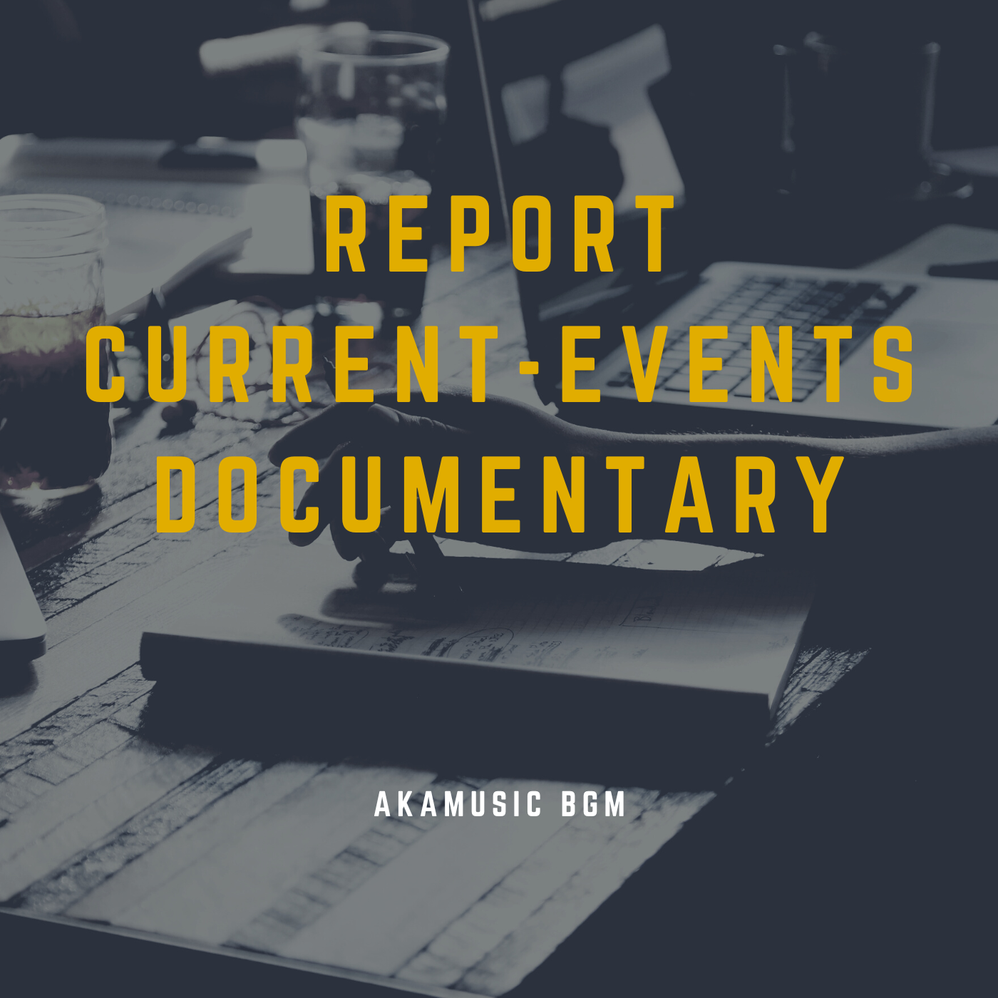 NEWS REPORT DOCUMENTARY cover